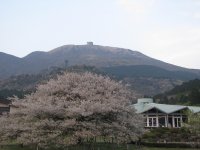 IMG_0733.JPG